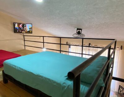 LOFT MAR